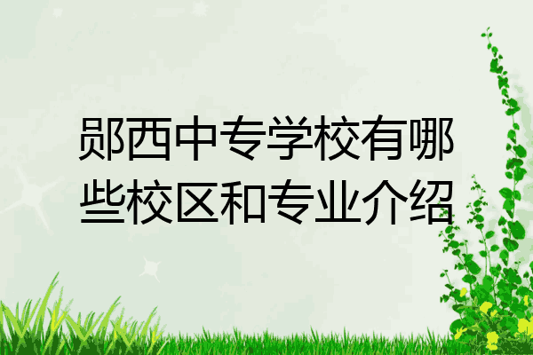 郧西中专学校有哪些校区和专业介绍