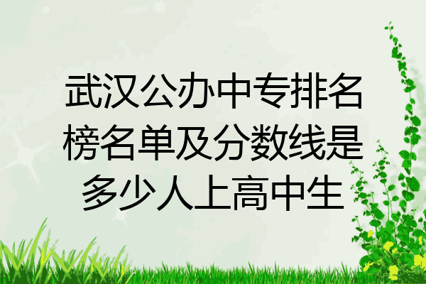 武汉公办中专排名榜名单及分数线是多少人上高中生