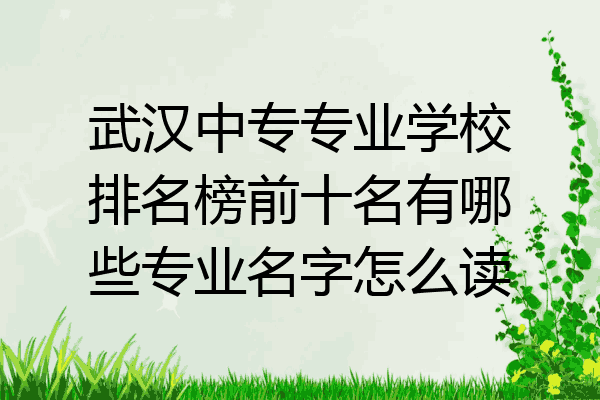 武汉中专专业学校排名榜前十名有哪些专业名字怎么读