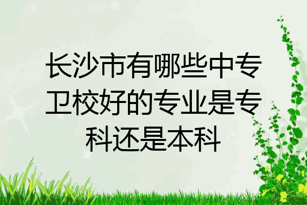 长沙市有哪些中专卫校好的专业是专科还是本科