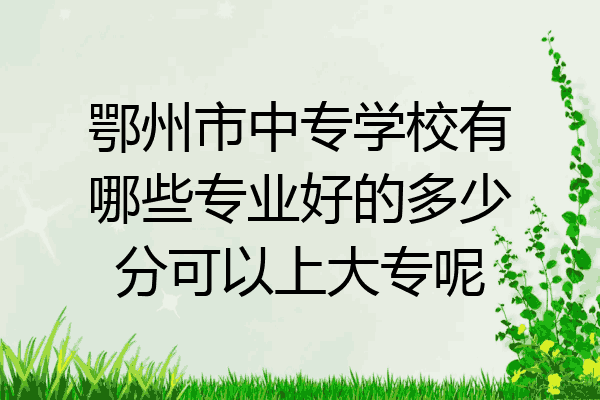 鄂州市中专学校有哪些专业好的多少分可以上大专呢