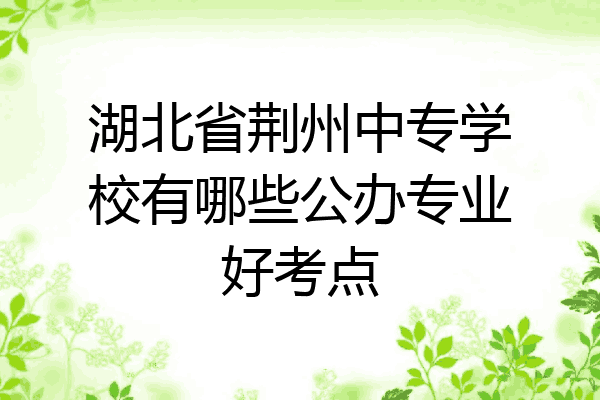 湖北省荆州中专学校有哪些公办专业好考点