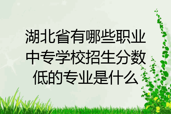 湖北省有哪些职业中专学校招生分数低的专业是什么