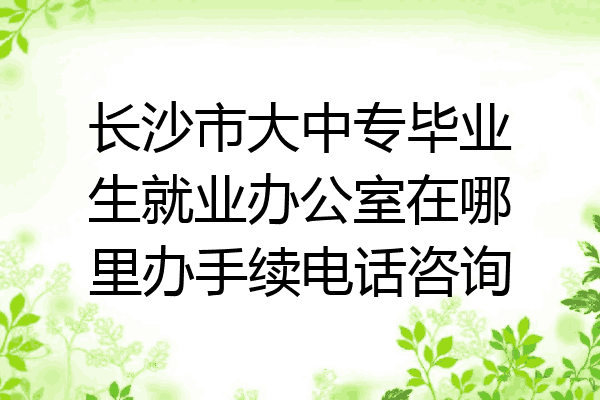 长沙市大中专毕业生就业办公室在哪里办手续电话咨询