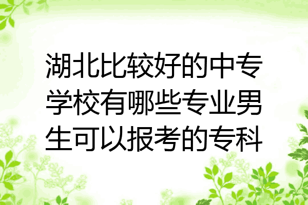 湖北比较好的中专学校有哪些专业男生可以报考的专科