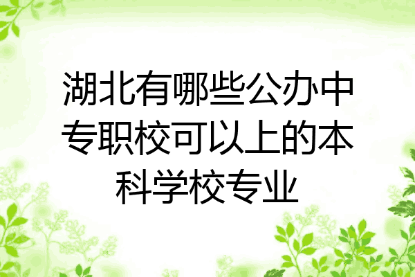 湖北有哪些公办中专职校可以上的本科学校专业