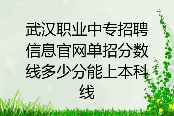 武汉职业中专招聘信息官网单招分数线多少分能上本科线