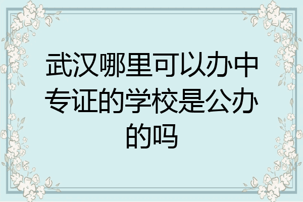 武汉哪里可以办中专证的学校是公办的吗