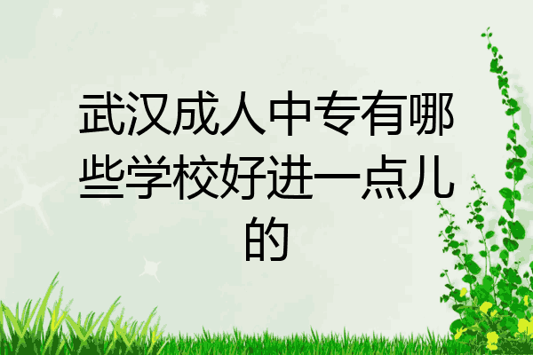 武汉成人中专有哪些学校好进一点儿的
