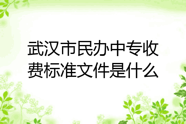 武汉市民办中专收费标准文件是什么