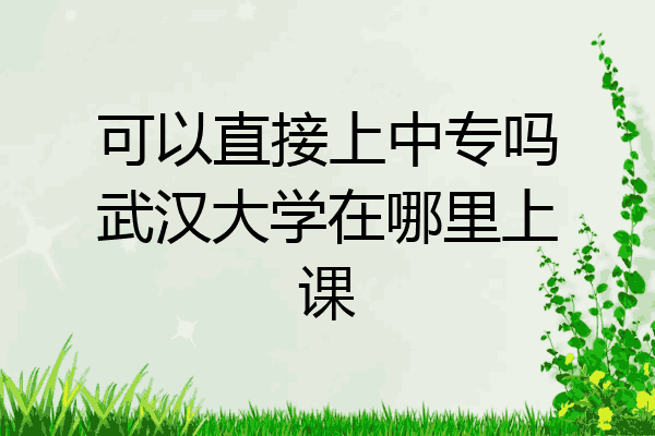 可以直接上中专吗武汉大学在哪里上课