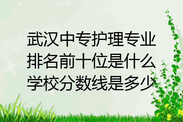 武汉中专护理专业排名前十位是什么学校分数线是多少