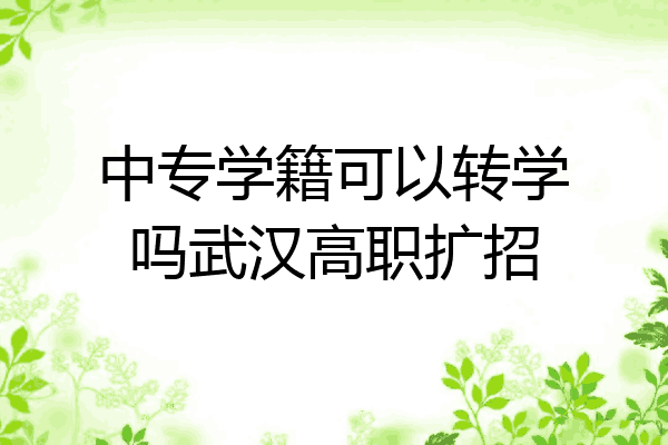 中专学籍可以转学吗武汉高职扩招