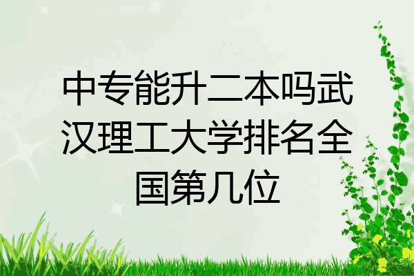 中专能升二本吗武汉理工大学排名全国第几位