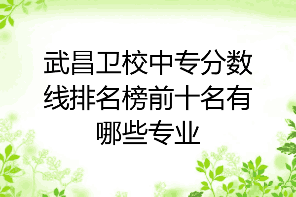 武昌卫校中专分数线排名榜前十名有哪些专业