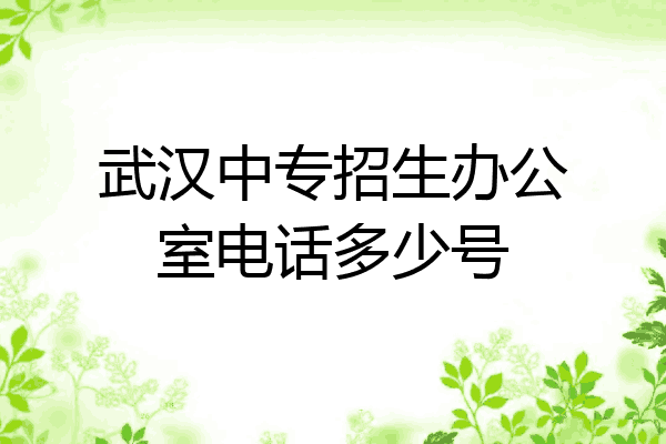 武汉中专招生办公室电话多少号