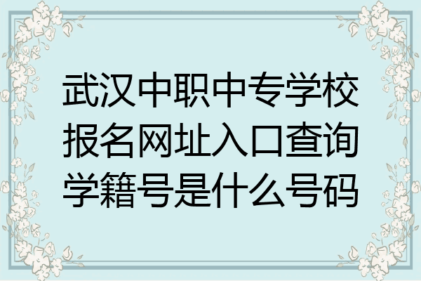 武汉中职中专学校报名网址入口查询学籍号是什么号码