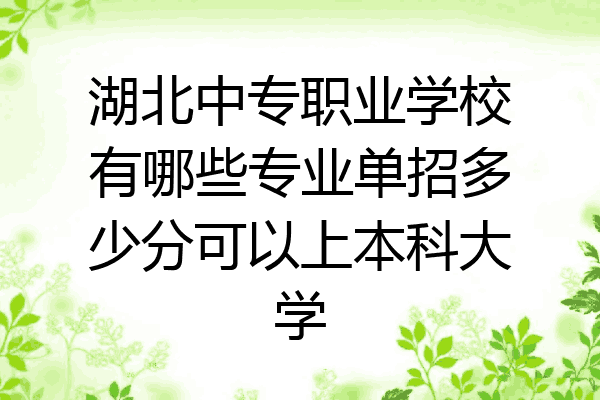 湖北中专职业学校有哪些专业单招多少分可以上本科大学