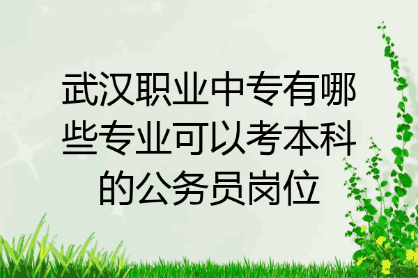 武汉职业中专有哪些专业可以考本科的公务员岗位
