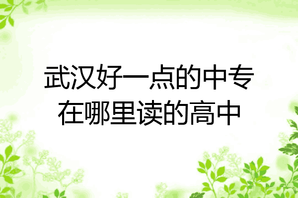 武汉好一点的中专在哪里读的高中
