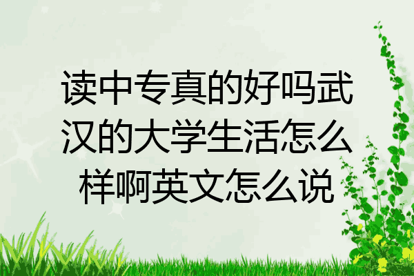 读中专真的好吗武汉的大学生活怎么样啊英文怎么说