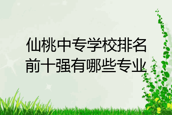 仙桃中专学校排名前十强有哪些专业