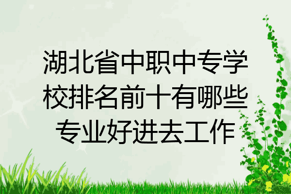 湖北省中职中专学校排名前十有哪些专业好进去工作