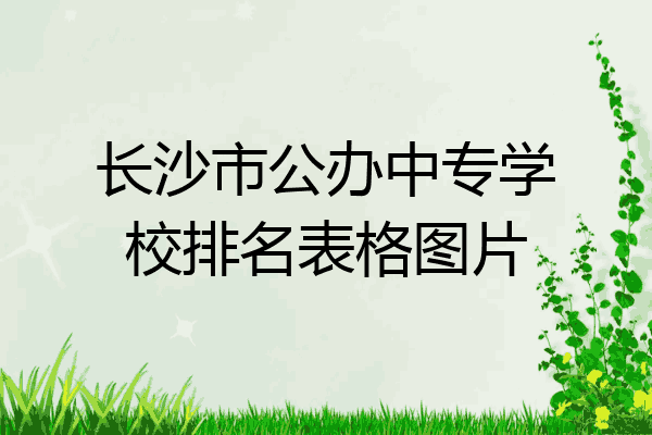 长沙市公办中专学校排名表格图片