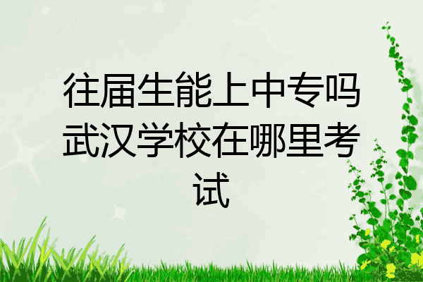 往届生能上中专吗武汉学校在哪里考试