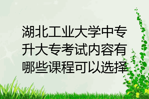 湖北工业大学中专升大专考试内容有哪些课程可以选择
