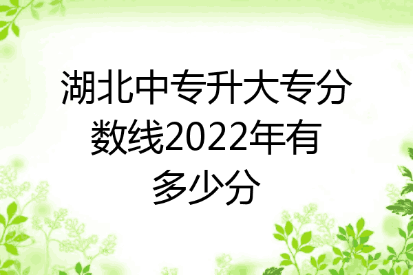 湖北中专升大专分数线2022年有多少分
