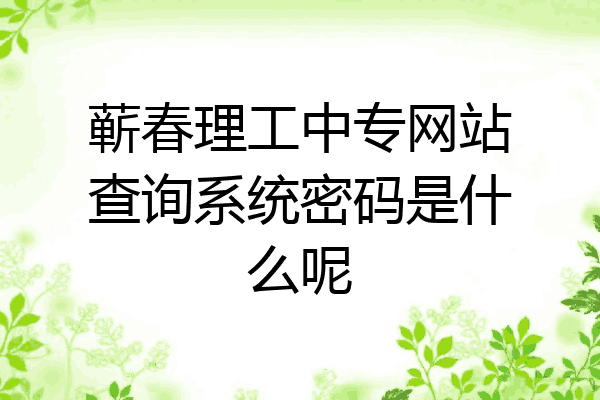 蕲春理工中专网站查询系统密码是什么呢