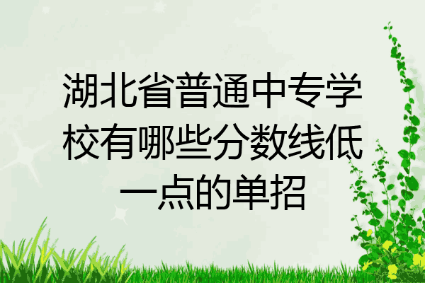 湖北省普通中专学校有哪些分数线低一点的单招