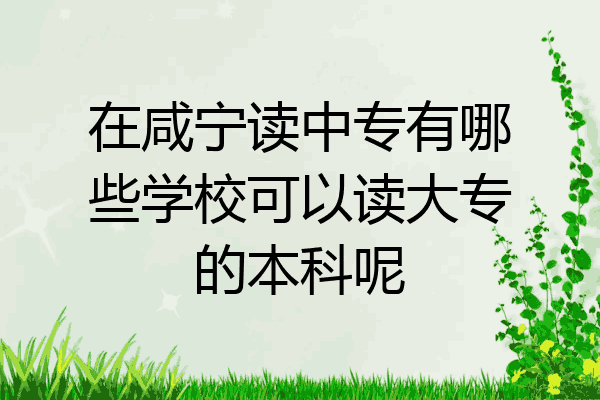 在咸宁读中专有哪些学校可以读大专的本科呢