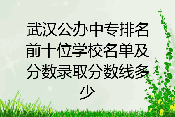 武汉公办中专排名前十位学校名单及分数录取分数线多少