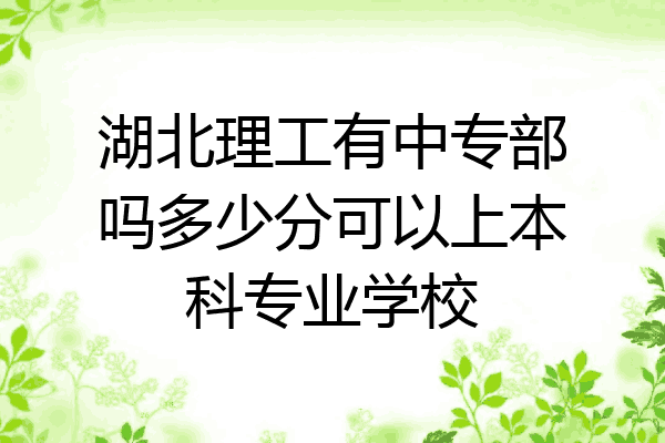 湖北理工有中专部吗多少分可以上本科专业学校