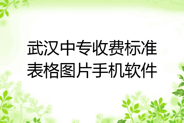 武汉中专收费标准表格图片手机软件