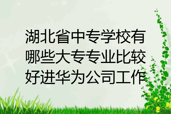 湖北省中专学校有哪些大专专业比较好进华为公司工作