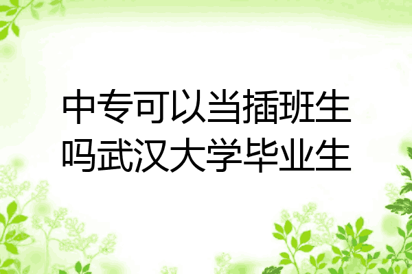 中专可以当插班生吗武汉大学毕业生