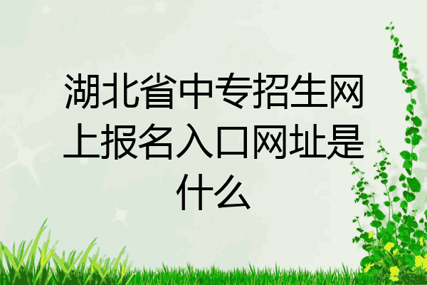 湖北省中专招生网上报名入口网址是什么