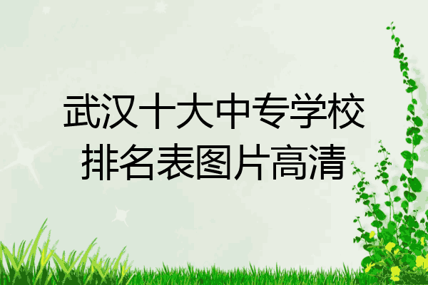 武汉十大中专学校排名表图片高清
