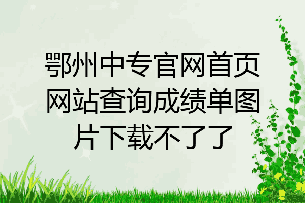 鄂州中专官网首页网站查询成绩单图片下载不了了