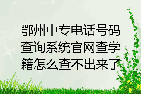 鄂州中专电话号码查询系统官网查学籍怎么查不出来了