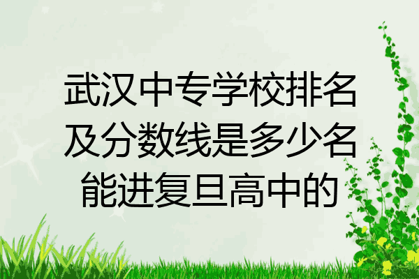 武汉中专学校排名及分数线是多少名能进复旦高中的