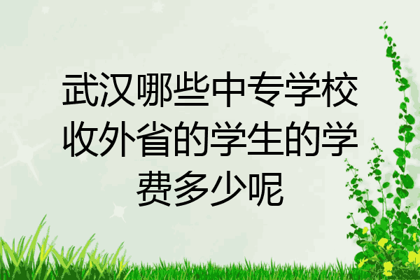 武汉哪些中专学校收外省的学生的学费多少呢