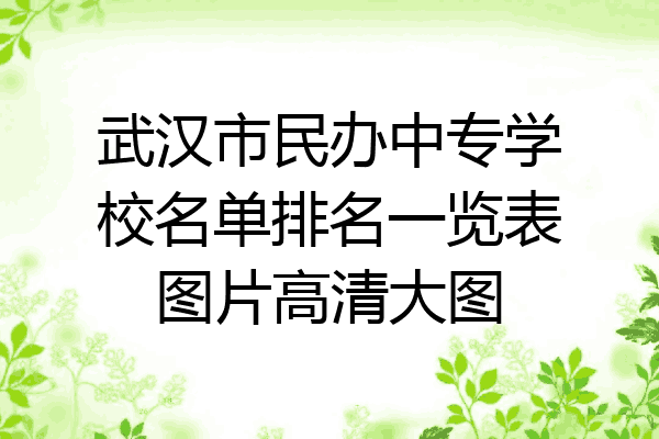 武汉市民办中专学校名单排名一览表图片高清大图