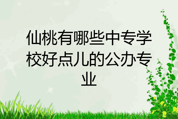 仙桃有哪些中专学校好点儿的公办专业