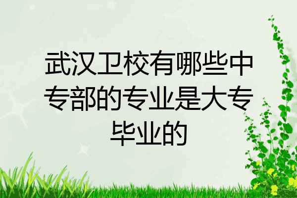 武汉卫校有哪些中专部的专业是大专毕业的