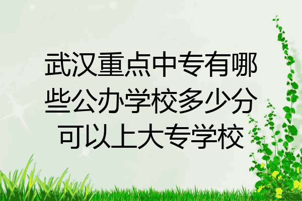 武汉重点中专有哪些公办学校多少分可以上大专学校
