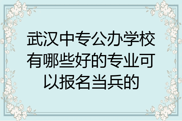 武汉中专公办学校有哪些好的专业可以报名当兵的